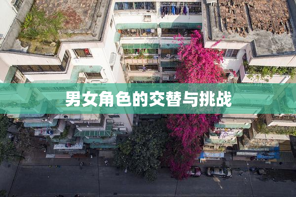 男女角色的交替与挑战