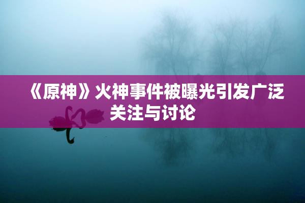《原神》火神事件被曝光引发广泛关注与讨论
