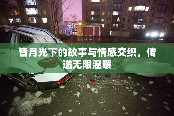 皆月光下的故事与情感交织，传递无限温暖