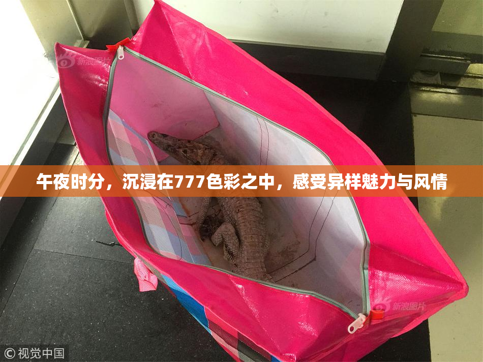 午夜时分，沉浸在777色彩之中，感受异样魅力与风情