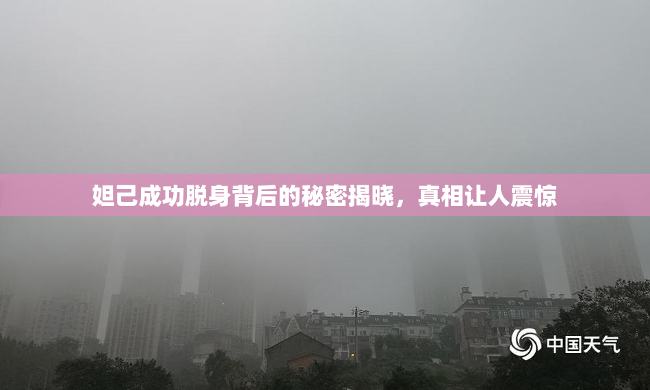 妲己成功脱身背后的秘密揭晓，真相让人震惊
