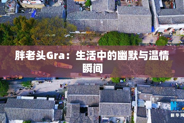 胖老头Gra：生活中的幽默与温情瞬间