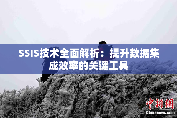SSIS技术全面解析：提升数据集成效率的关键工具