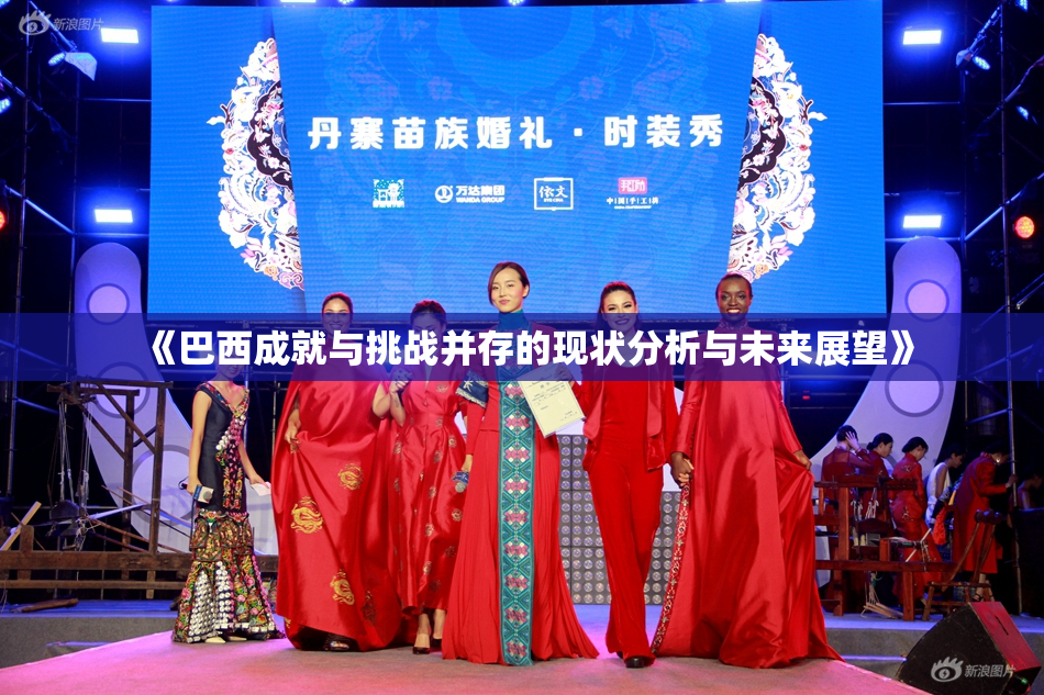 《巴西成就与挑战并存的现状分析与未来展望》