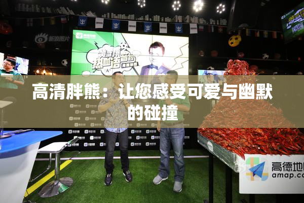 高清胖熊：让您感受可爱与幽默的碰撞