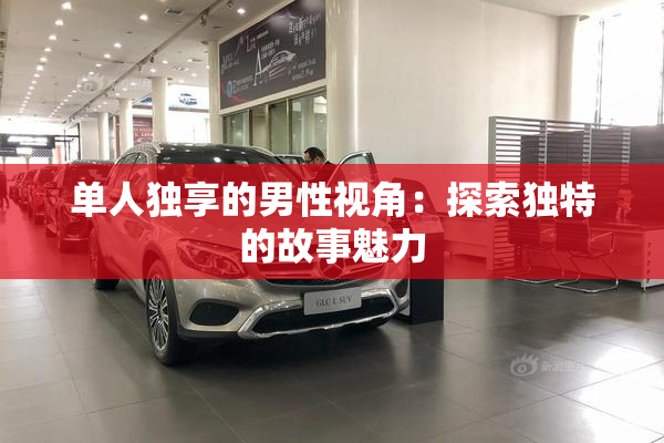 单人独享的男性视角：探索独特的故事魅力