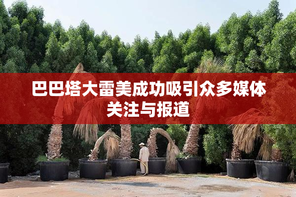 巴巴塔大雷美成功吸引众多媒体关注与报道