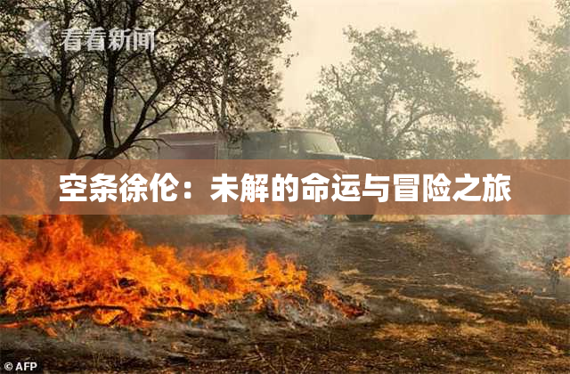 空条徐伦：未解的命运与冒险之旅