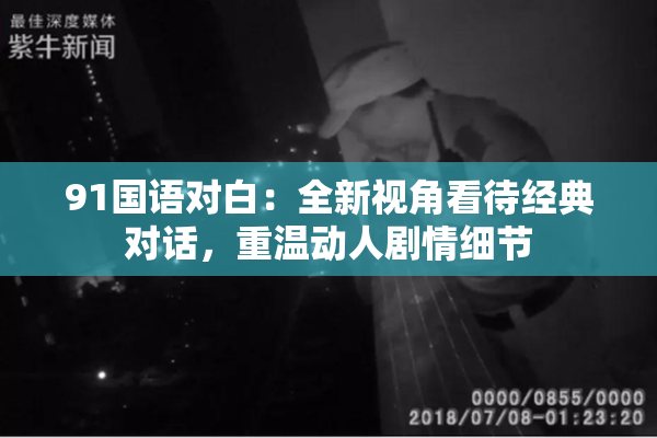 91国语对白：全新视角看待经典对话，重温动人剧情细节