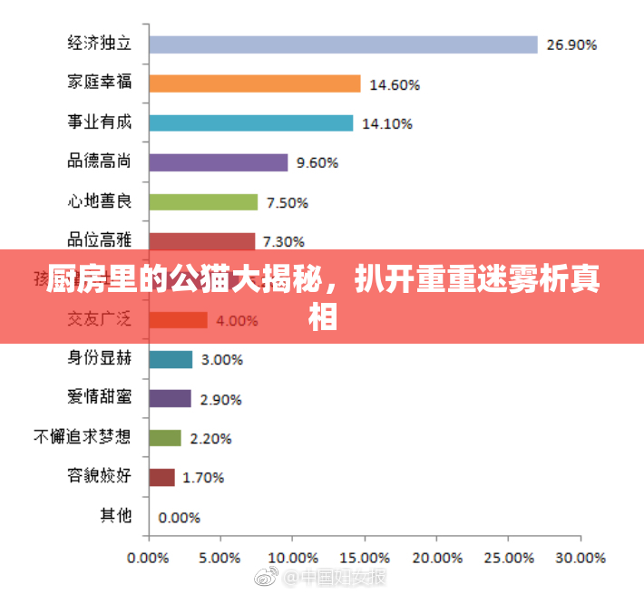 厨房里的公猫大揭秘，扒开重重迷雾析真相