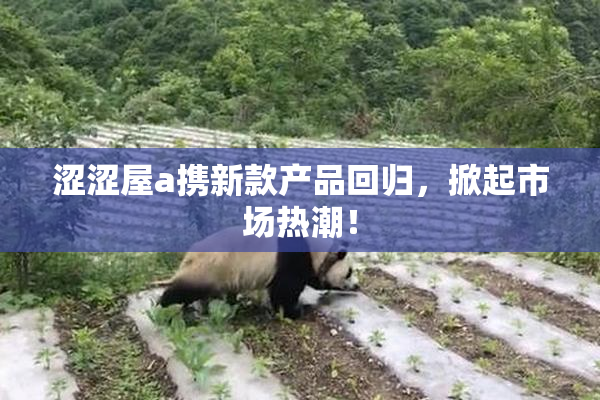 涩涩屋a携新款产品回归，掀起市场热潮！