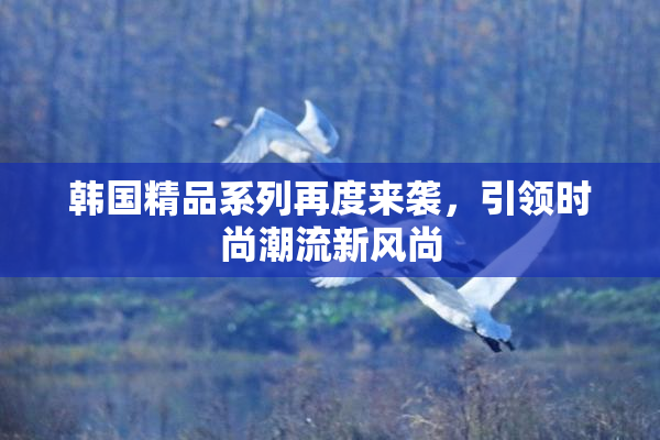 韩国精品系列再度来袭，引领时尚潮流新风尚
