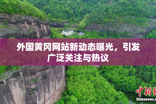 外国黄冈网站新动态曝光，引发广泛关注与热议