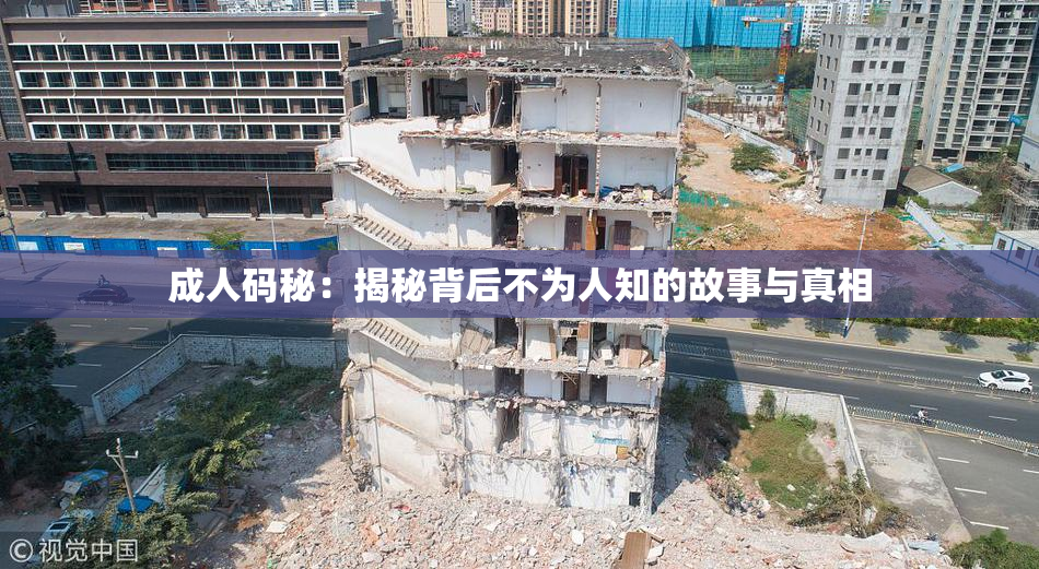 成人码秘：揭秘背后不为人知的故事与真相