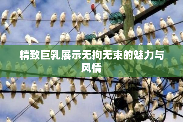 精致巨乳展示无拘无束的魅力与风情