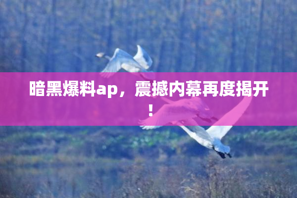 暗黑爆料ap，震撼内幕再度揭开！