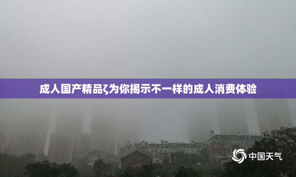 成人国产精品ζ为你揭示不一样的成人消费体验