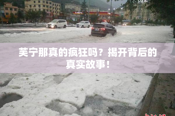 芙宁那真的疯狂吗？揭开背后的真实故事！
