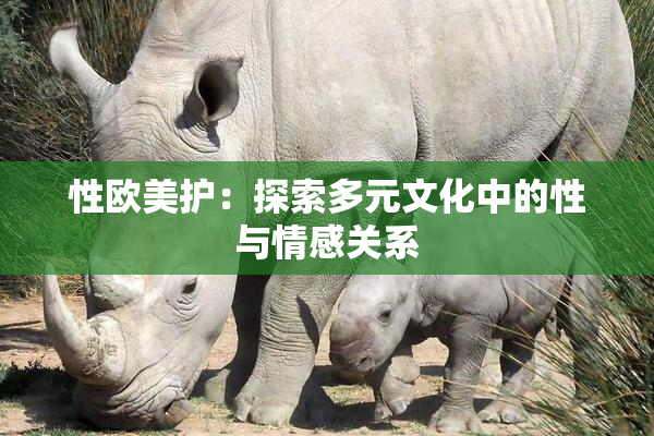 性欧美护：探索多元文化中的性与情感关系