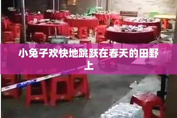 小兔子欢快地跳跃在春天的田野上