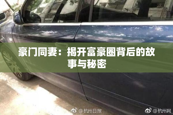 豪门同妻：揭开富豪圈背后的故事与秘密