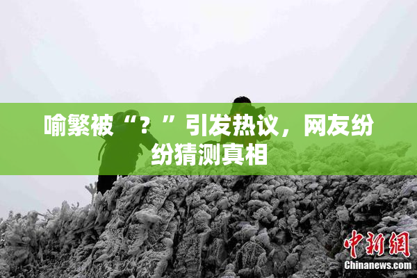 喻繁被“？”引发热议，网友纷纷猜测真相