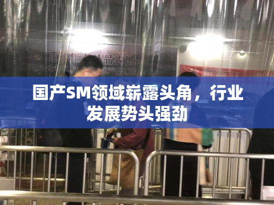 国产SM领域崭露头角，行业发展势头强劲