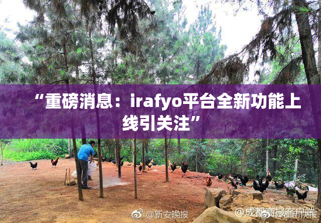 “重磅消息：irafyo平台全新功能上线引关注”