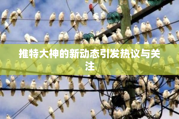 推特大神的新动态引发热议与关注