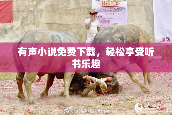 有声小说免费下载，轻松享受听书乐趣