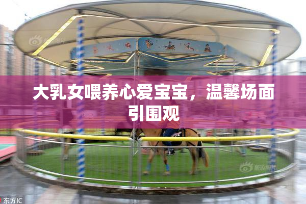 大乳女喂养心爱宝宝，温馨场面引围观