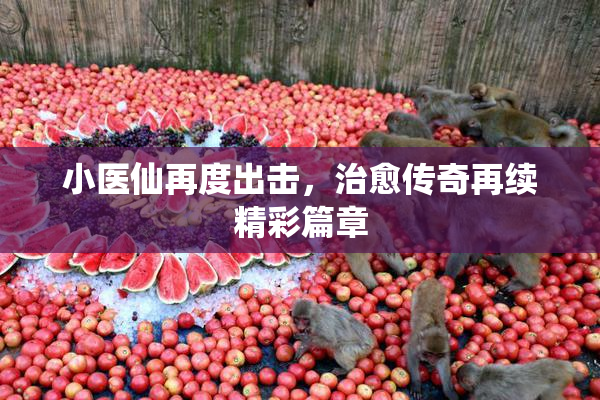 小医仙再度出击，治愈传奇再续精彩篇章
