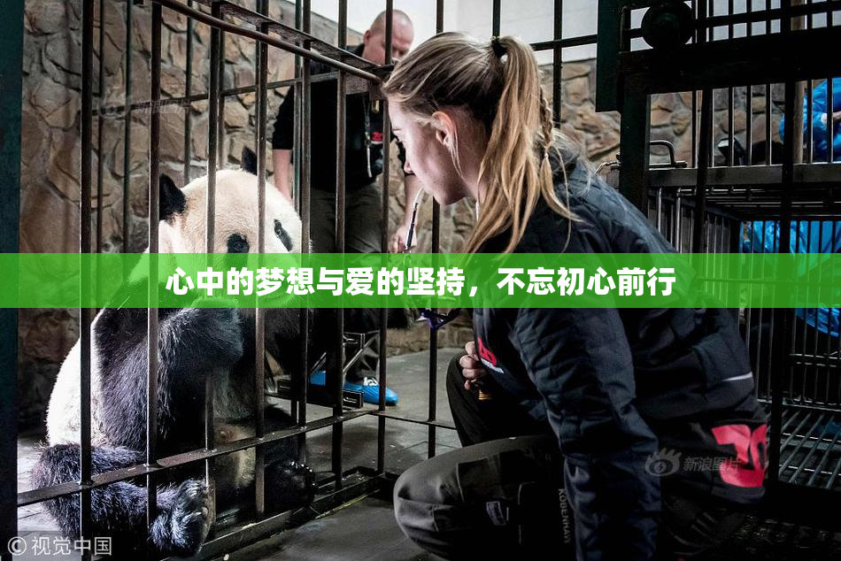 心中的梦想与爱的坚持，不忘初心前行