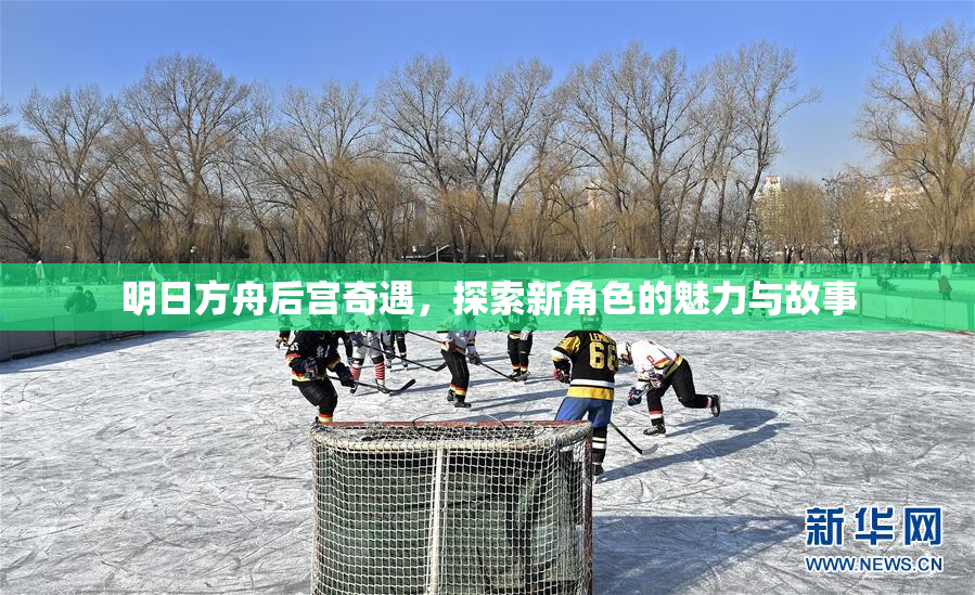 明日方舟后宫奇遇，探索新角色的魅力与故事