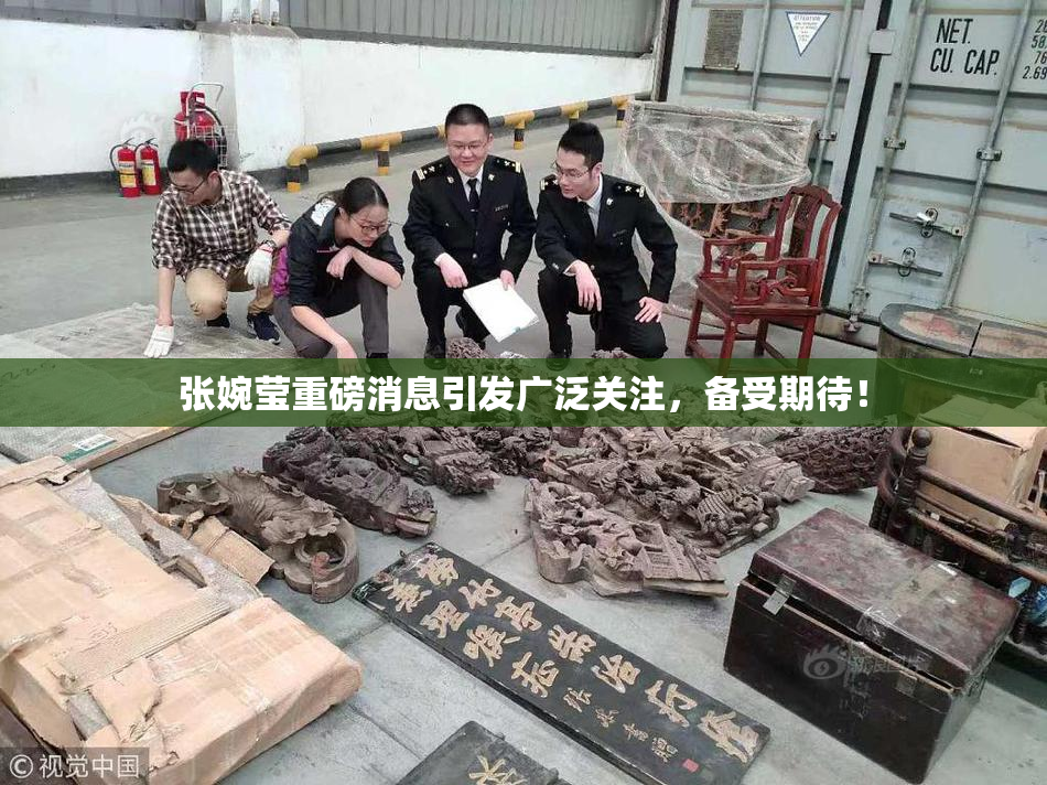 张婉莹重磅消息引发广泛关注，备受期待！