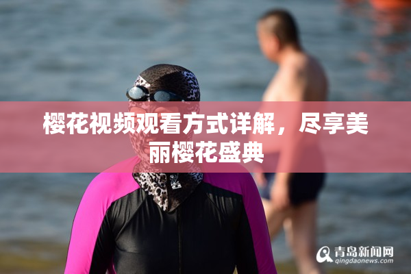 樱花视频观看方式详解，尽享美丽樱花盛典
