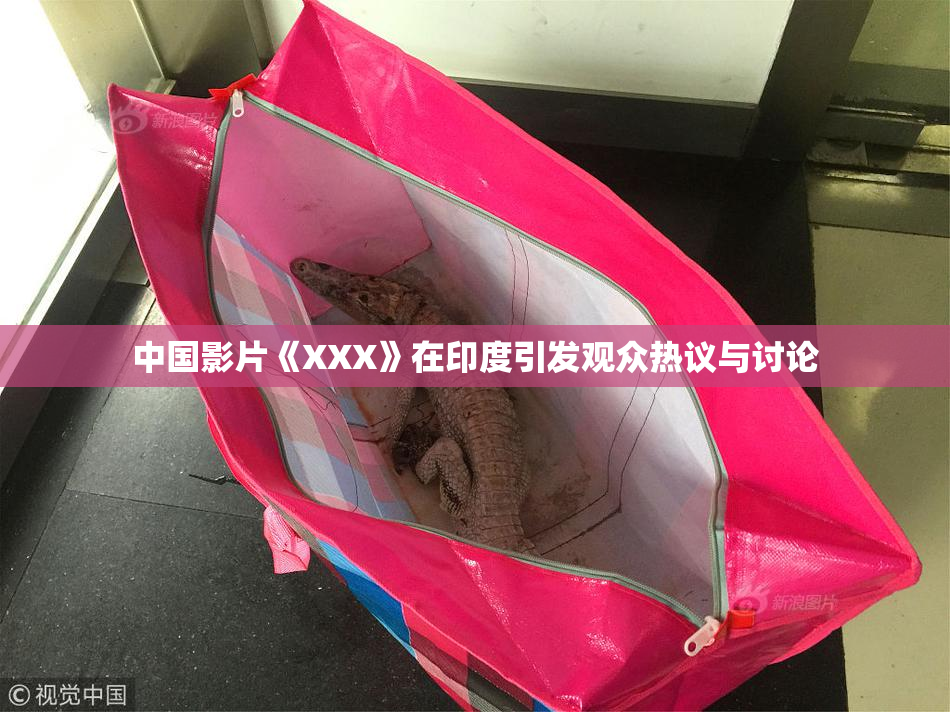 中国影片《XXX》在印度引发观众热议与讨论