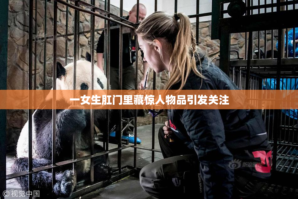 一女生肛门里藏惊人物品引发关注
