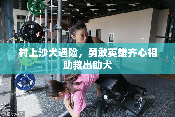 村上沙犬遇险，勇敢英雄齐心相助救出助犬