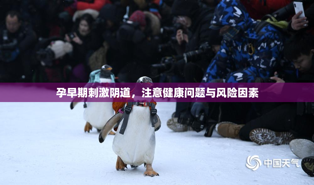 孕早期刺激阴道，注意健康问题与风险因素
