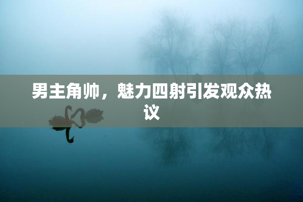 男主角帅，魅力四射引发观众热议