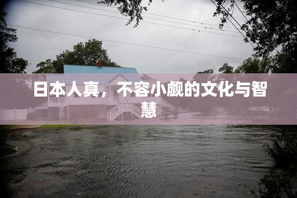 日本人真，不容小觑的文化与智慧