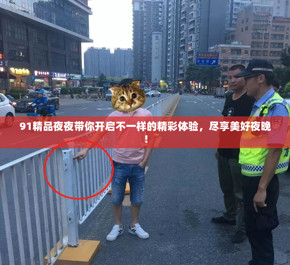 91精品夜夜带你开启不一样的精彩体验，尽享美好夜晚！