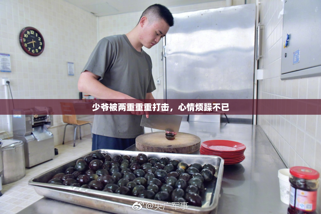 少爷被两重重重打击，心情烦躁不已
