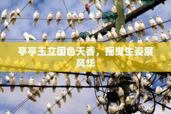 亭亭玉立国色天香，摇曳生姿展风华