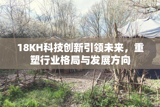 18KH科技创新引领未来，重塑行业格局与发展方向