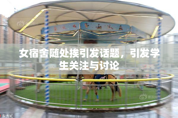 女宿舍随处挨引发话题，引发学生关注与讨论