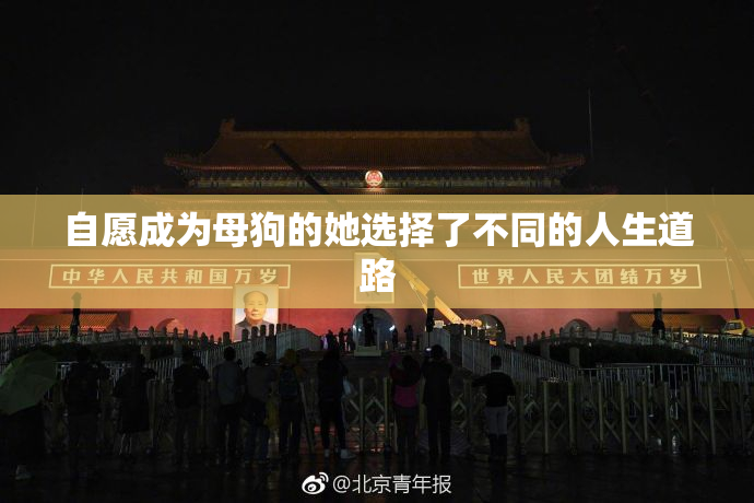 自愿成为母狗的她选择了不同的人生道路
