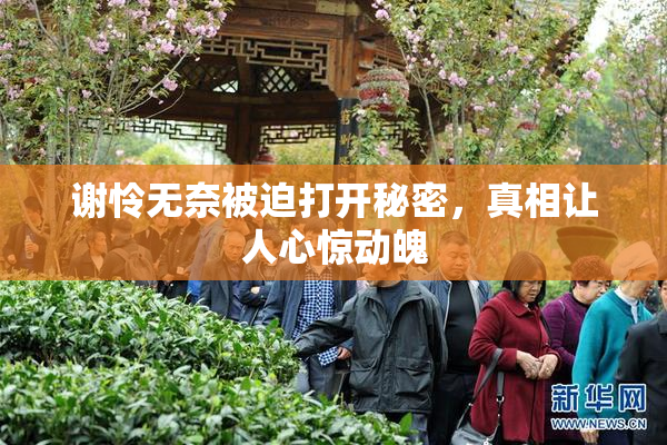 谢怜无奈被迫打开秘密，真相让人心惊动魄