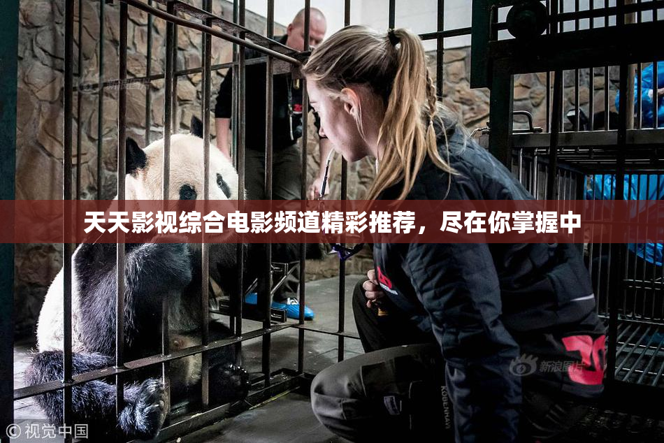 天天影视综合电影频道精彩推荐，尽在你掌握中